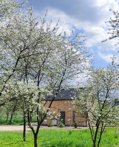 Gorskie Progi 度假居 Goworow